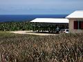 2003-04 martinique 094